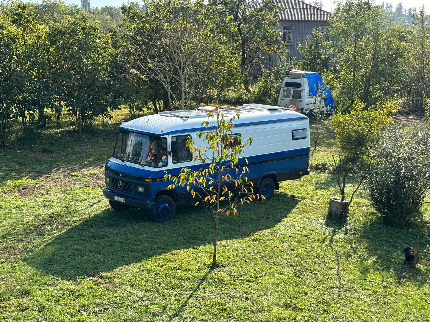 Camp Spot
